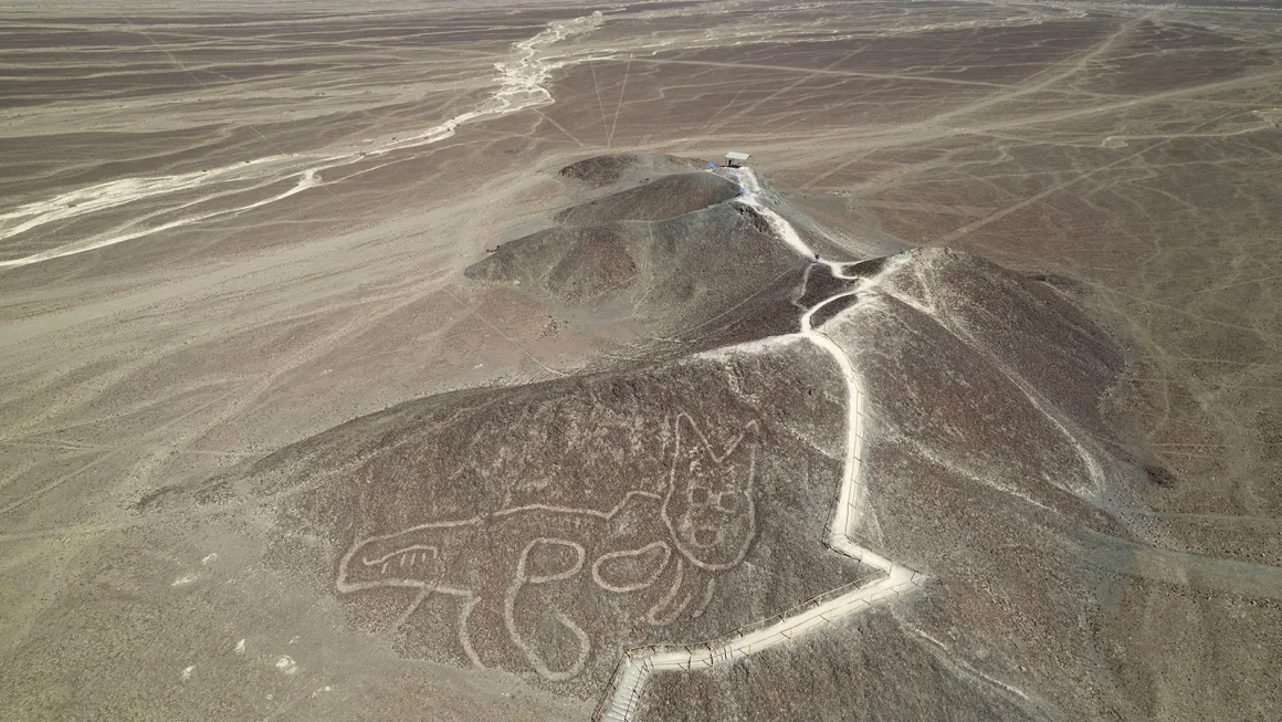 pemangkasan-taman-nazca-oleh-pemerintah-peru-picu-krisis-perlindungan-warisan-budaya